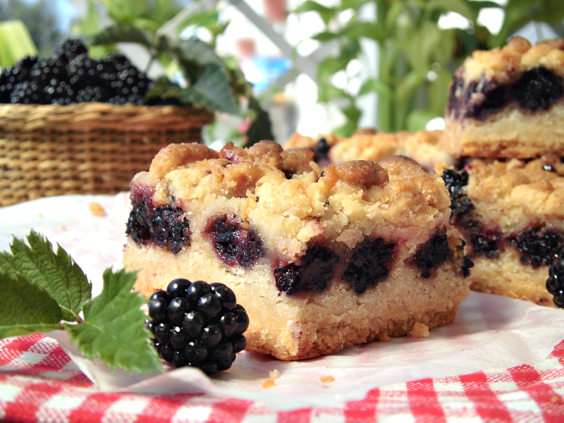 Quadrotti di torta sbriciolata alle more
