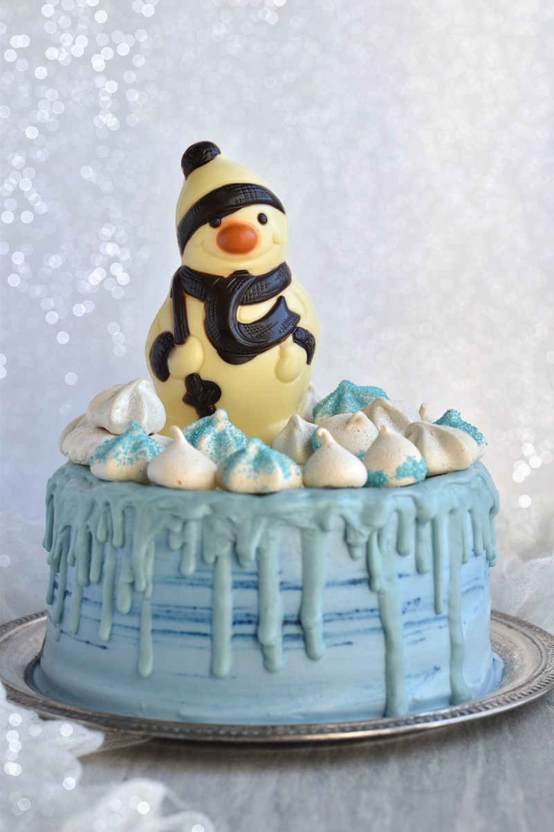 Chocolate winter cake