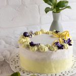 Torta Mimosa con crema diplomatica e fragole